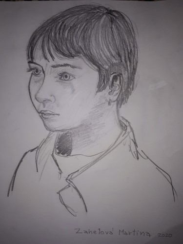 Image Description